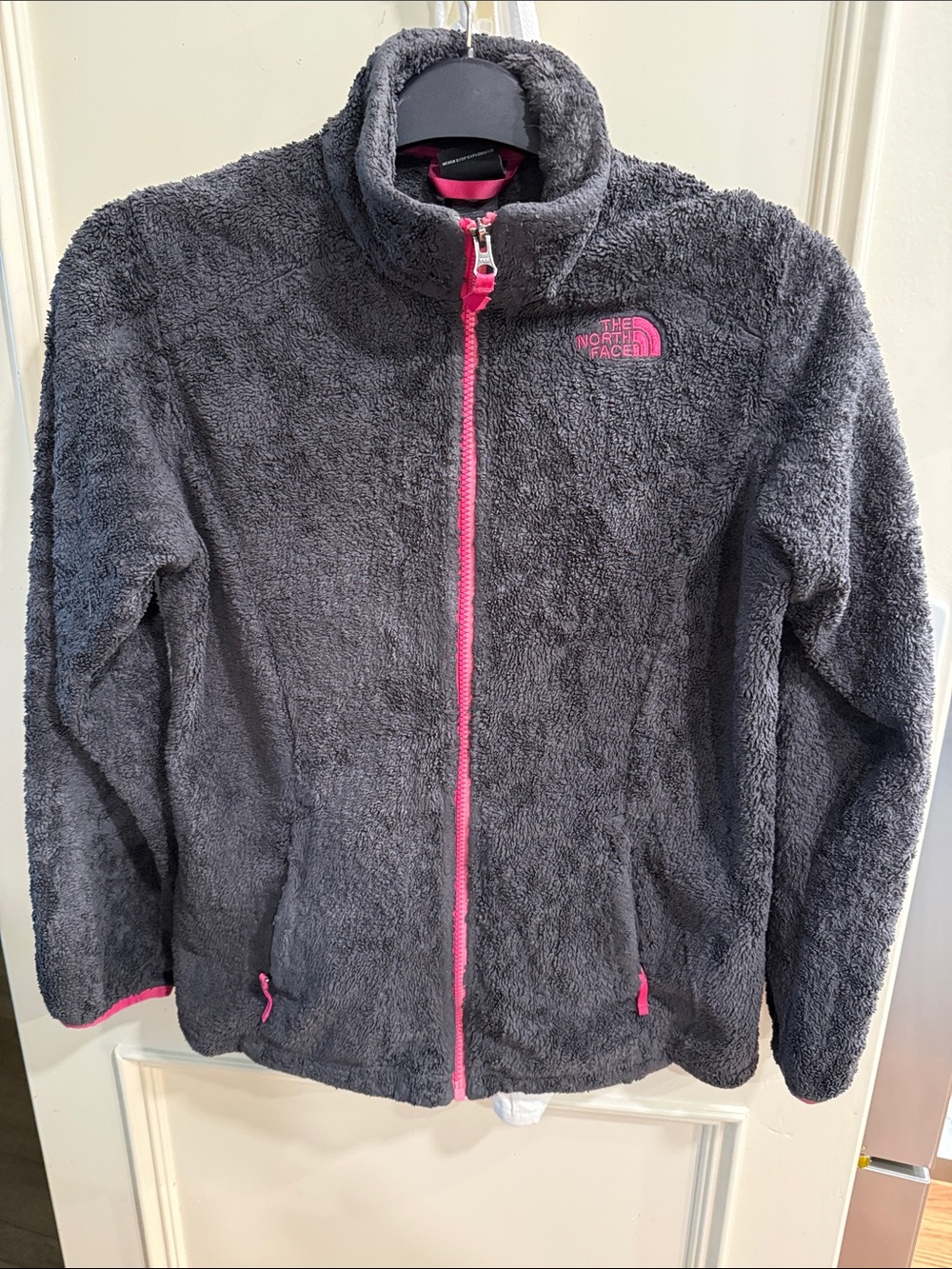 The North Face Kids Gray Fuzzy Puffer Jacket with Pink Trim
